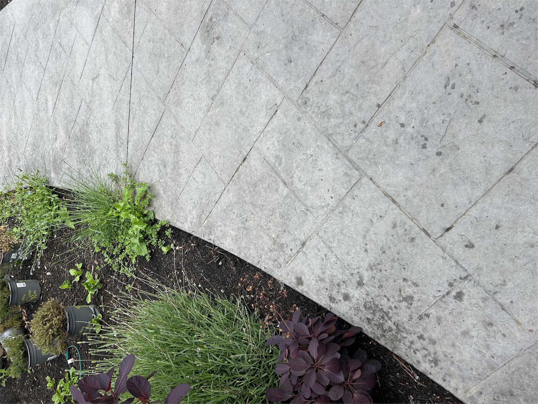 Close-up of a finished backyard concrete walkway with textured pattern